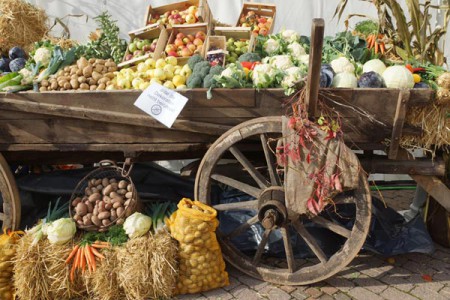 Kartoffelfest-Blomberg